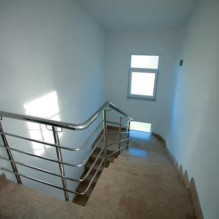 Antonella 特罗吉尔